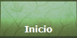 Inicio
