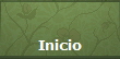 Inicio